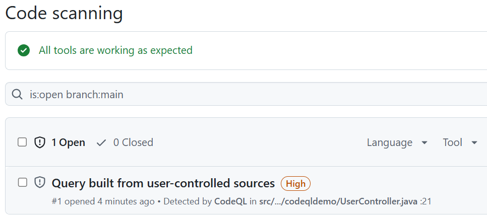 CodeQL analysis issue